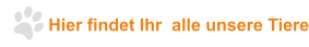 Hier findet Ihr  alle unsere Tiere