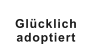 Glücklich  adoptiert