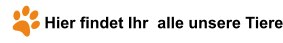 Hier findet Ihr  alle unsere Tiere
