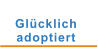 Glücklich  adoptiert